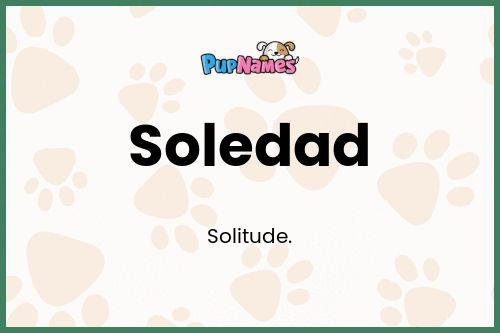 Soledad dog name meaning