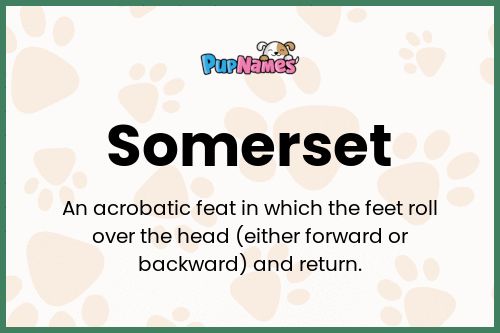 Somerset dog name meaning