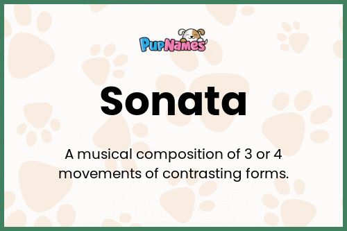 Sonata dog name meaning