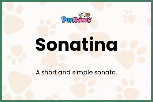 Sonatina dog name meaning