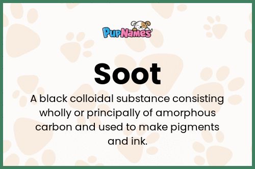 Soot dog name meaning