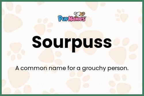 Sourpuss dog name meaning