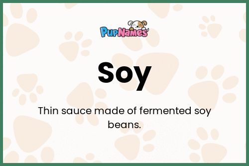 Soy dog name meaning