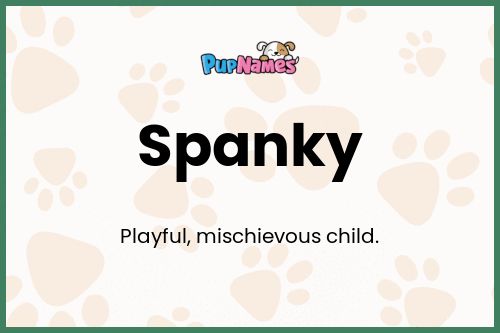 Spanky dog name meaning