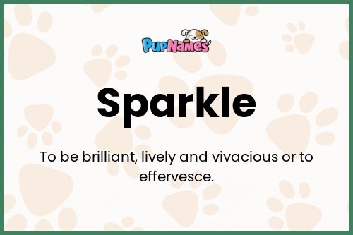 Sparkle dog name meaning