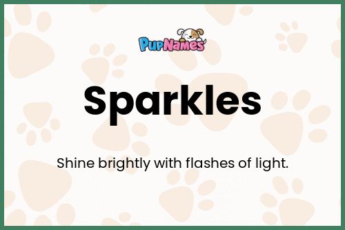 Sparkles dog name meaning