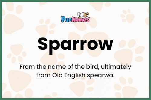 Sparrow dog name meaning