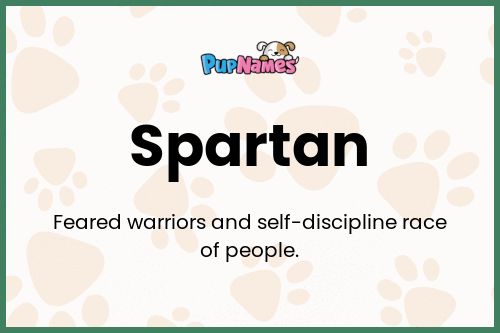 Spartan dog name meaning