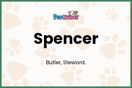 Spencer dog name meaning