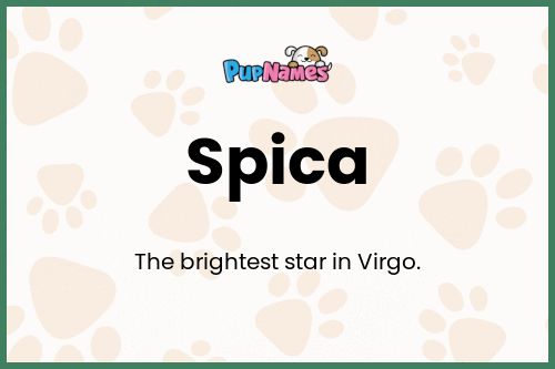 Spica dog name meaning