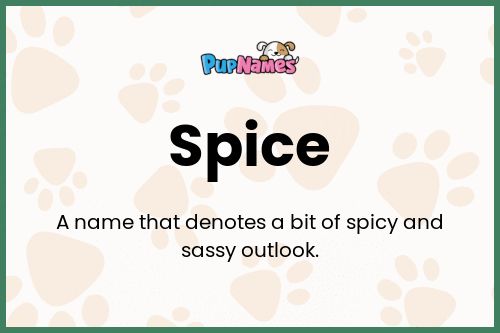 Spice dog name meaning