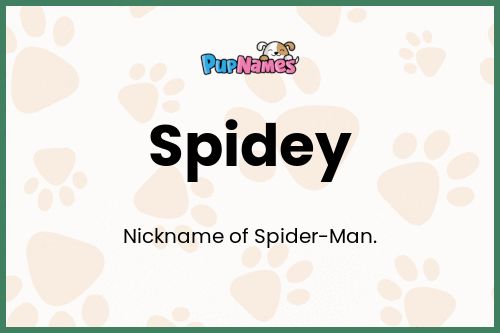 Spidey dog name meaning