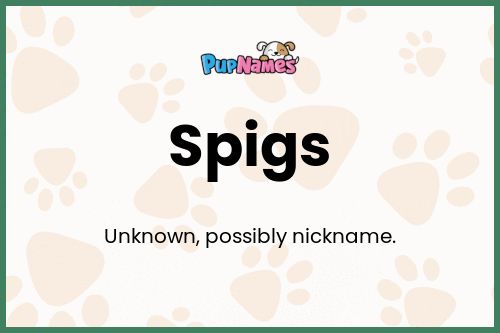 Spigs dog name meaning