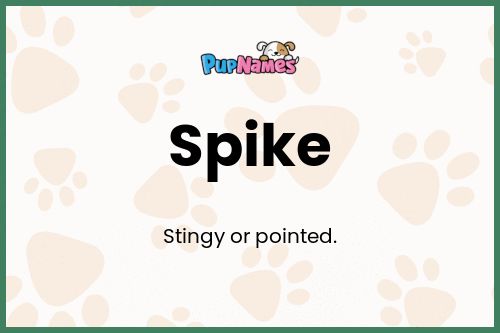 Spike dog name meaning