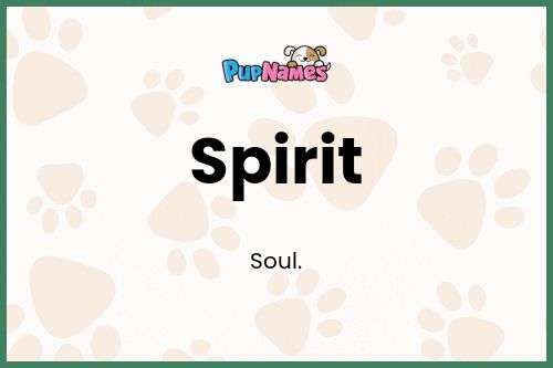 Spirit dog name meaning