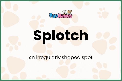 Splotch dog name meaning