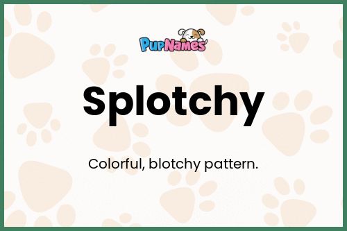 Splotchy dog name meaning