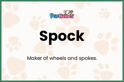 Spock dog name meaning