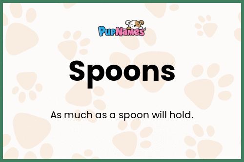 Spoons dog name meaning