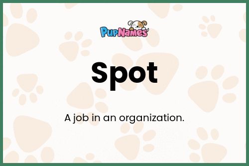 Spot dog name meaning