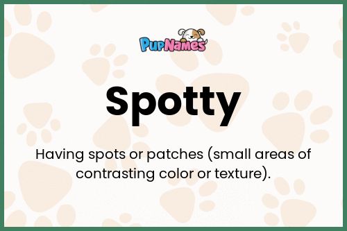 Spotty dog name meaning