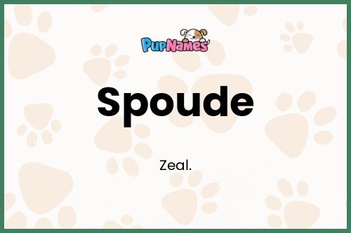 Spoude dog name meaning