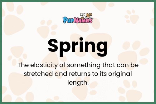 Spring dog name meaning