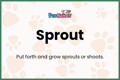 Sprout dog name meaning