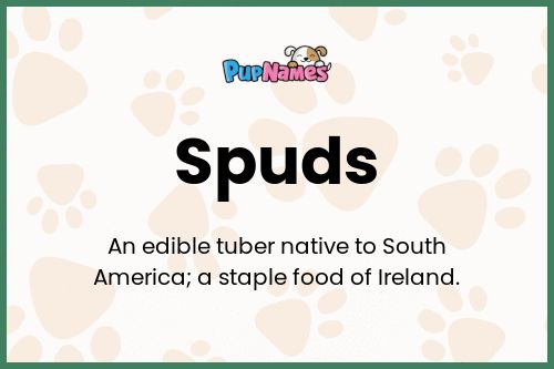 Spuds dog name meaning