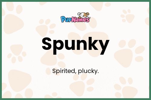 Spunky dog name meaning