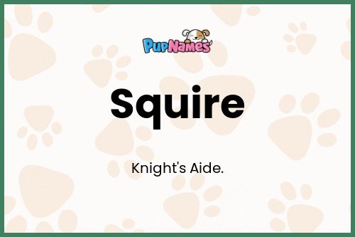 Squire dog name meaning