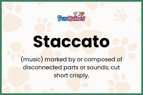 Staccato dog name meaning