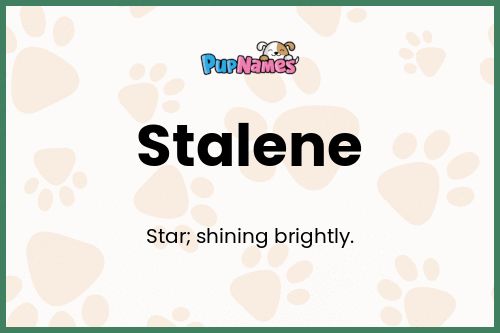 Stalene dog name meaning