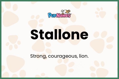 Stallone dog name meaning