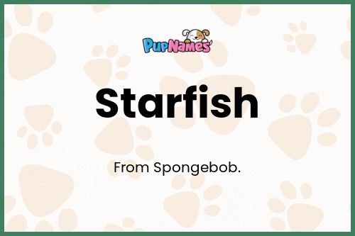 Starfish dog name meaning