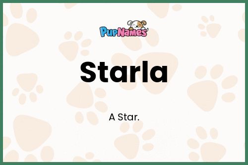 Starla dog name meaning