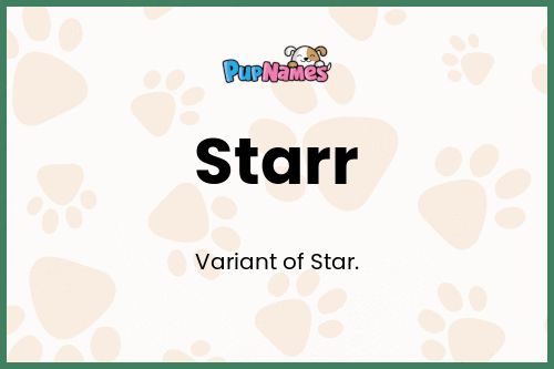 Starr dog name meaning