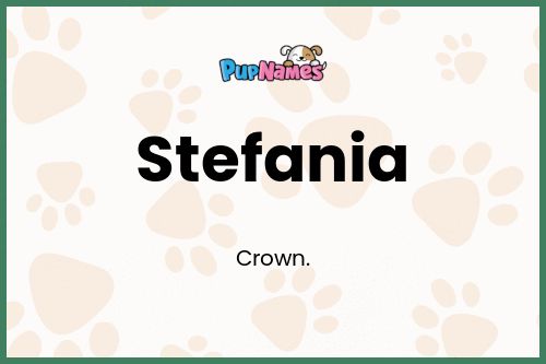 Stefania dog name meaning