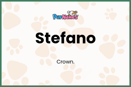 Stefano dog name meaning