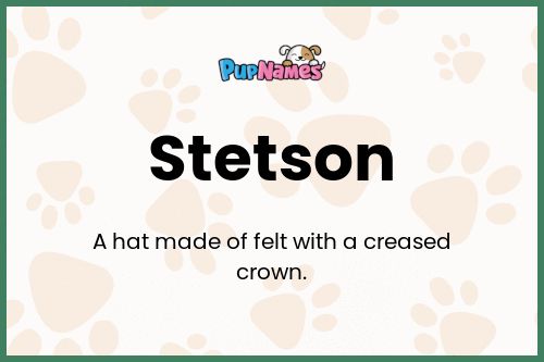 Stetson dog name meaning