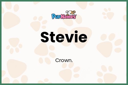 Stevie dog name meaning