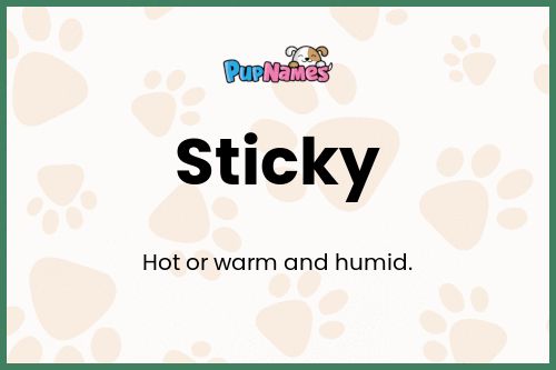 Sticky dog name meaning