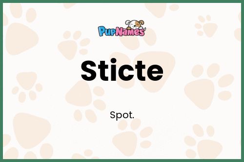 Sticte dog name meaning