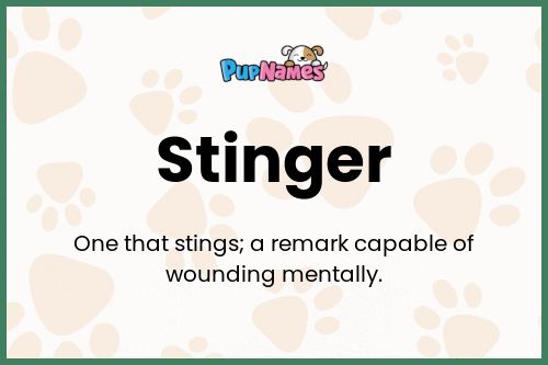 Stinger dog name meaning