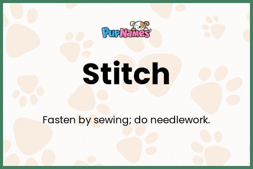 Stitch dog name meaning