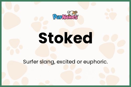 Stoked dog name meaning