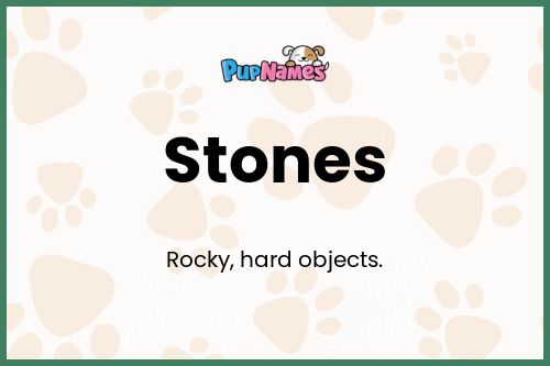 Stones dog name meaning
