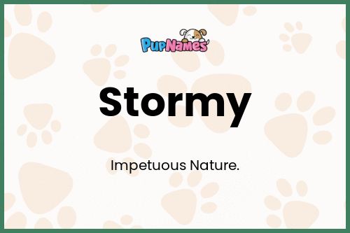 Stormy dog name meaning
