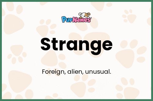 Strange dog name meaning