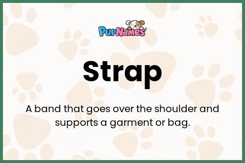 Strap dog name meaning